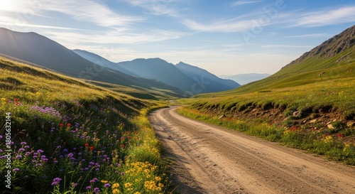 Fototapeta Naklejka Na Ścianę i Meble -  Scenic mountain trail winding through vibrant meadows under a boundless sky