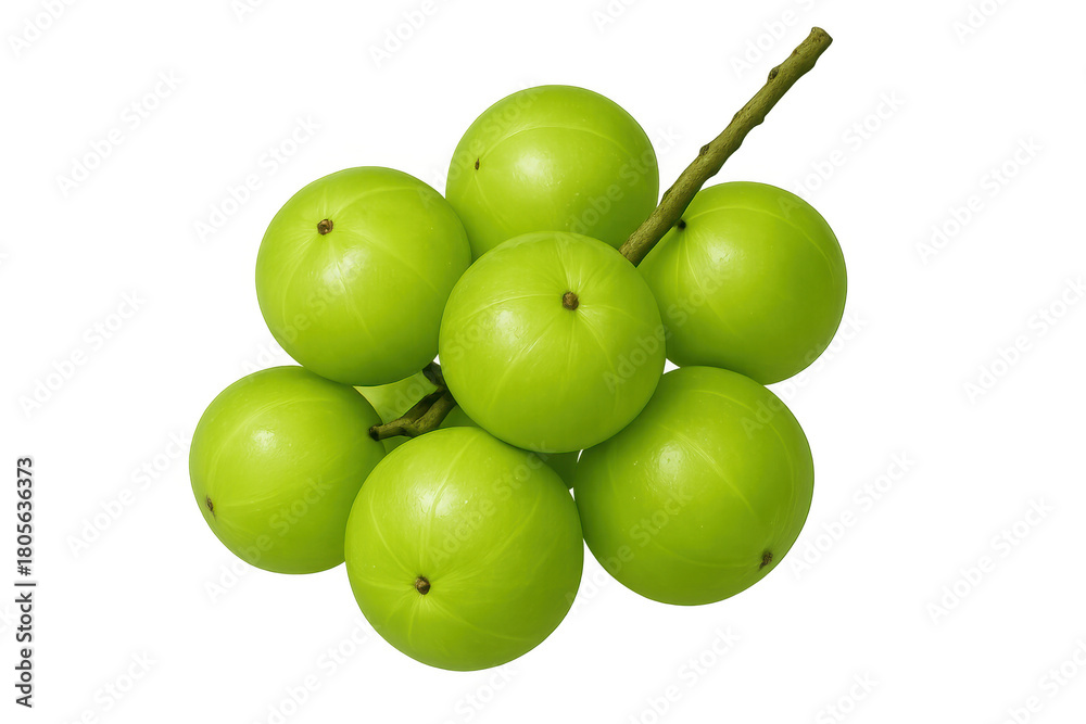 Obraz premium Fresh indian gooseberries on a branch, a cluster of green amla fruit for ayurvedic medicine and healthy diet, transparent background