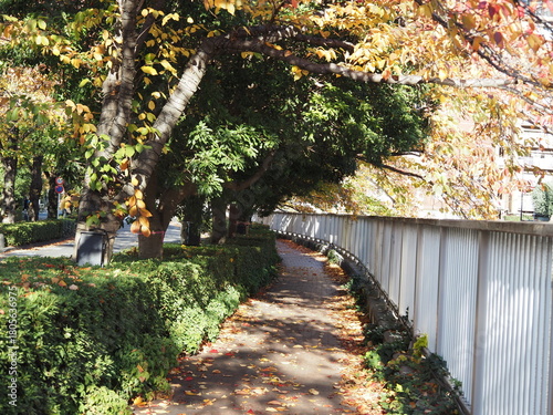 目黒川沿い遊歩道