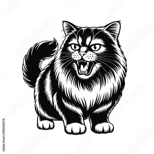 Black and white feline illustration with refined hand-drawn detailing and expressive character, ideal for decorative prints, stationery design, pet-themed graphics, and modern minimalist artwork colle