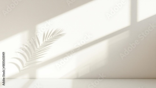 Soft natural light casting a palm leaf shadow on a neutral background