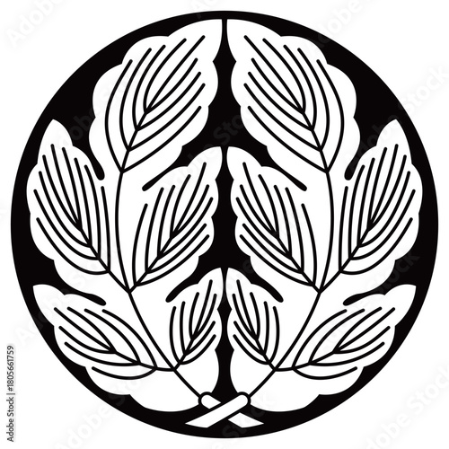 家紋です。石持地抜抱き菊の葉といいます。