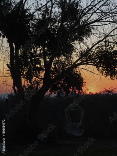 Peaceful sunset scene with suspended chair under a big tree