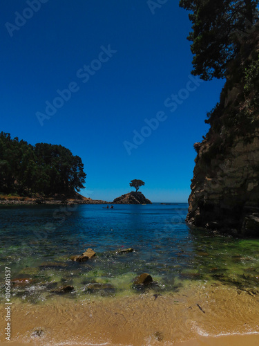 Lone tree on a rocky formation in Ramuntcho Beach, Chile, surrounded by crystal clear water and a bright blue sky
