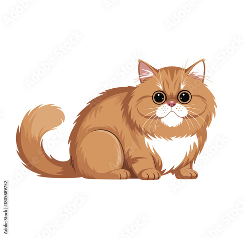 Cute red exotic shorthair cat in a sitting pose, drawn in detailed vector style on a clean background, ideal for pet-themed prints, illustrations, and playful design projects.