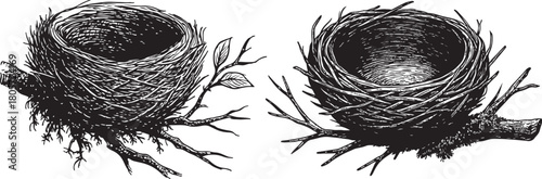Two Empty Bird Nests on Branches Detailed Black and White Illustration