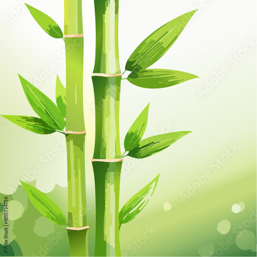 Tropical green bamboo forest
1