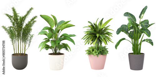 A collection of four stylish indoor potted plants arranged in a modern setting. green foliage. perfect for home decor and enhancing living spaces with natural beauty