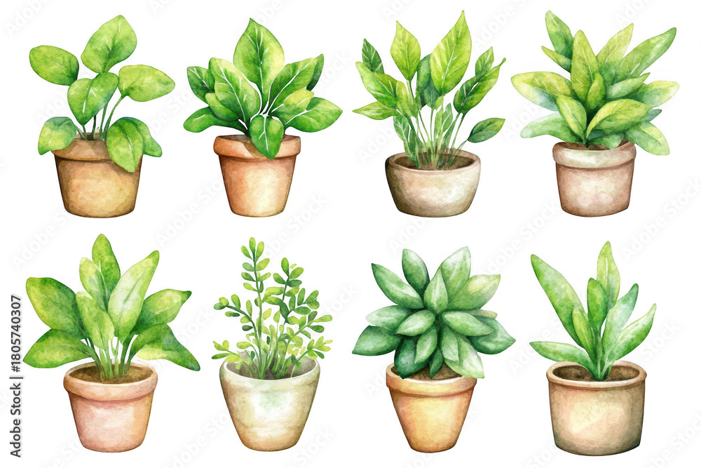 Obraz premium A collection of potted green plants featuring various species in earthy pots. lush foliage and natural beauty. ideal for home decor or gardening inspiration