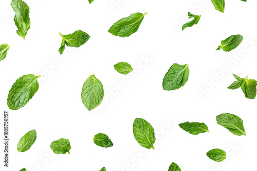 Fresh green mint leaves scattered on a clean white background. their color and texture. ideal for culinary. health. and lifestyle applications