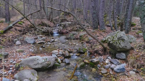 A serene view of a small mountain river with clear water and numerous boulders. The stream flows through a dense forest with bare trees and a ground covered in fallen leaves and rocks.