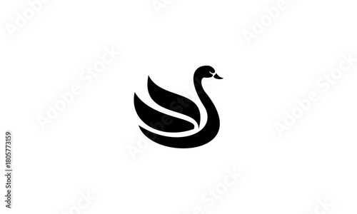swan vector design