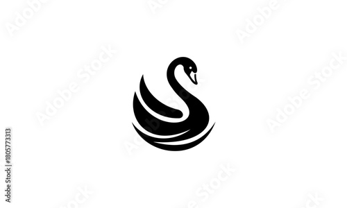 swan vector design
