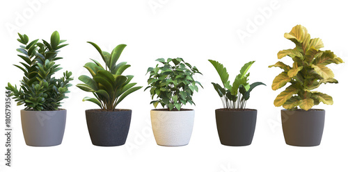 A display of five diverse indoor plants in stylish pots. various foliage textures and colors. set against a clean. minimalistic background ideal for home decor inspiration
