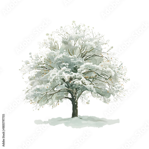 Trees covered in snow