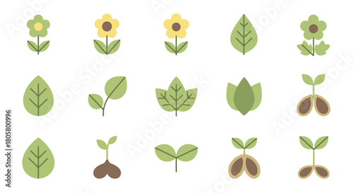 Collection of various green leaves flowers and sprouting plants on a white background.