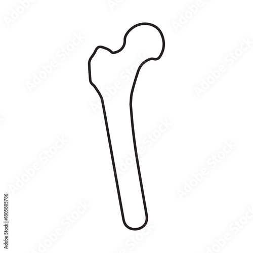 Human Femur Bone Outline