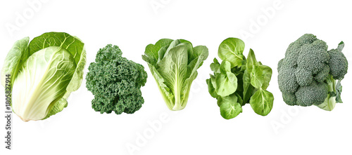 A display of fresh green vegetables including cabbage. kale. romaine lettuce. spinach. and broccoli arranged in a line against a clean white background. ideal for healthy eating concepts