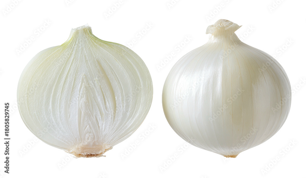 Obraz premium Whole and halved white onion against a stark black background