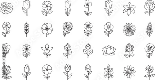 Botanical line art seamless pattern with various flowers and plants