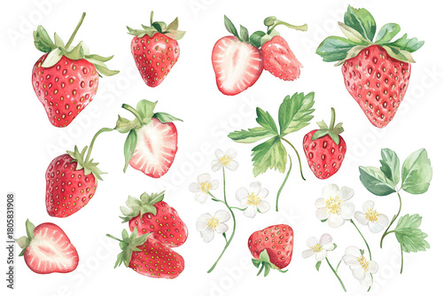 A collection of hand-painted strawberries whole. sliced. and halved fruits. accompanied by delicate green leaves and white blossoms. perfect for culinary or botanical illustrations