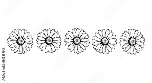 A simple black and white line drawing of five daisy flowers arranged in a horizontal row.