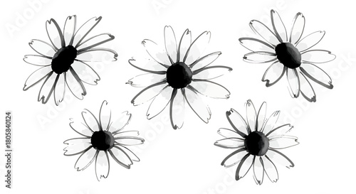 A delicate black and white ink wash illustration of five scattered daisy flowers on a white background.