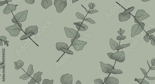 Eucalyptus branch pattern on a sage green background.