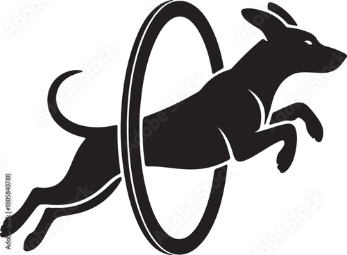 Dog jumping through agility ring silhouette icon