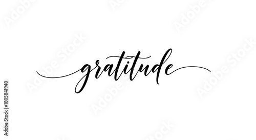 Elegant script of the word 'gratitude' in a minimalist, cursive font, on a white background.