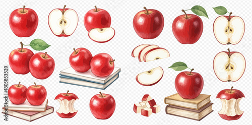 Watercolor illustration set of red apples in various forms, including whole, sliced, half, and cores, some placed on books.