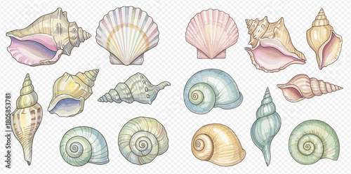 A collection of various hand-drawn seashells and conch shells in soft pastel colors, perfect for marine-themed designs.