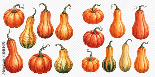 Watercolor illustration of various autumn pumpkins and gourds in different shapes and colors, perfect for fall harvest and Halloween designs.