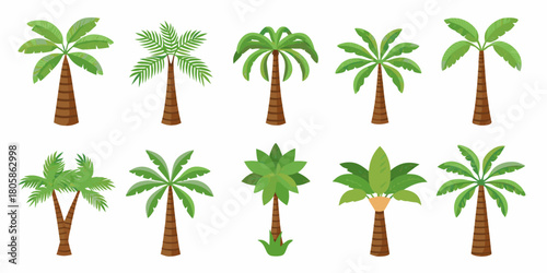 Collection of ten diverse cartoon palm trees with green leaves and brown striped trunks on a white background