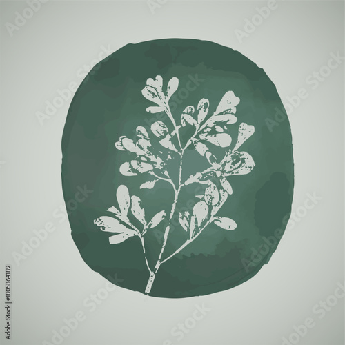Floral graphic illustration drawing of greens and plants over a creative green oval background