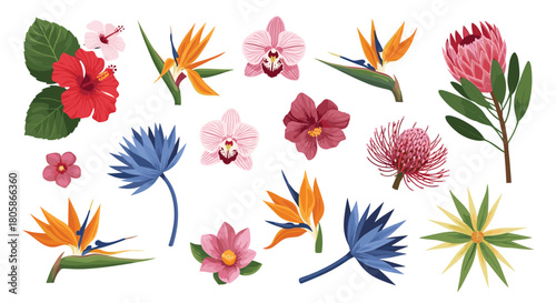 A vibrant collection of exotic tropical flowers and botanical elements like hibiscus, orchids, and birds of paradise, perfect for design.