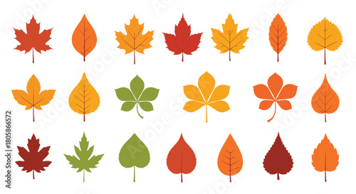 A vibrant collection of diverse autumn leaves in various shapes and colors, perfect for fall season designs.