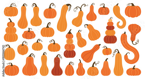 An illustrated seamless pattern of various orange pumpkins and gourds, perfect for fall, harvest, Halloween, and Thanksgiving designs.