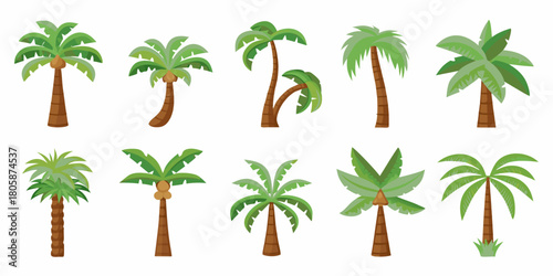 Collection of diverse cartoon palm trees with green leaves and brown trunks on a white background