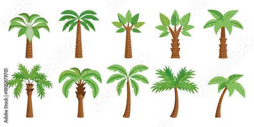 Collection of ten diverse cartoon palm trees with brown trunks and green leaves on a white background