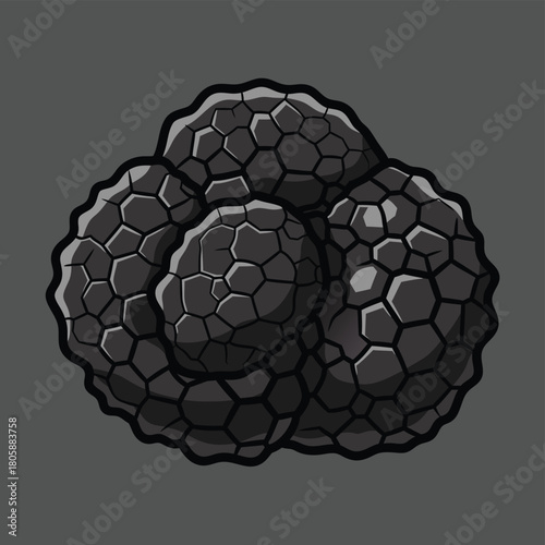 A detailed illustration of a black truffle with a textured, bumpy surface on a dark grey background.