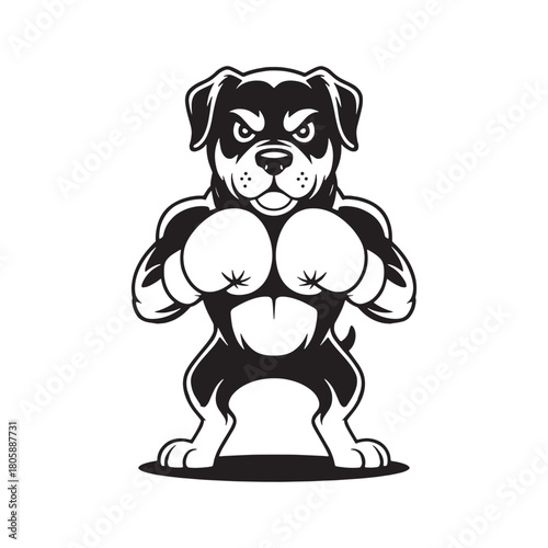 Tough rottweiler boxer dog mascot with muscular body and fists raised