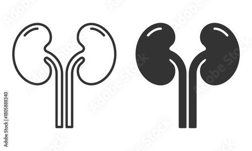 Kidney icon in outline and bold styles, sleek medical vector design