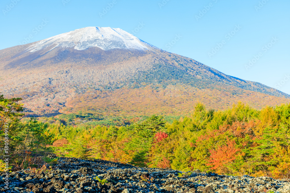 Fototapeta premium 秋の焼走り熔岩流から見た積雪と紅葉の岩手山 岩手県八幡平市 Snow and autumn leaves on Mt. Iwate seen from the Yakehashiri lava flow in autumn. Iwate Pref, Hachimantai City.