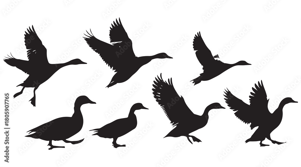 Obraz premium Goose silhouettes flying and standing Vector