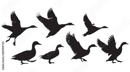 Goose silhouettes flying and standing Vector