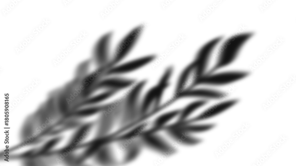 Fototapeta premium Abstract plain black background texture full frame copy space