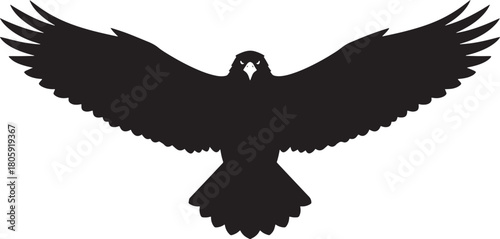 Eagle Bird Vector – Wildlife Raptor Silhouette Design