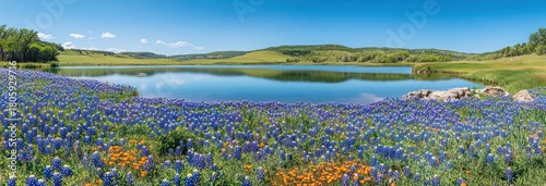 Wallpaper Mural Tranquil spring panorama of blue and orange wildflowers along a calm reflective lake, with rolling green hills, scattered trees and shoreline rocks under a clear blue sky Torontodigital.ca