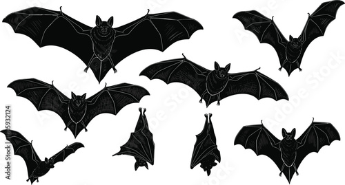 Bat silhouettes set, a vector illustration collection of flying and hanging bats, sketch style nocturnal animals, isolated Halloween elements, spooky wildlife.